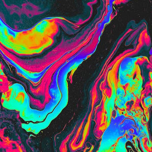 Meet your Posher, Annelise